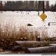 Snohomish flood 2